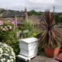 Dscn0796