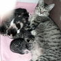 Captured_2004-1-2_00011