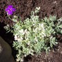 100_8351