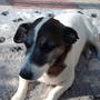 My_documents_my_pictures_087