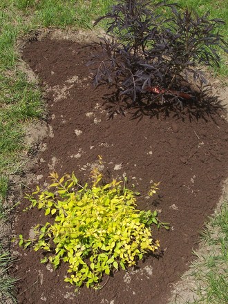 Another new flower bed