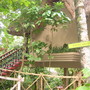 Picture_139