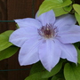 May08_001