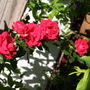 May08_003