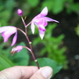 May08_005