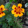 May08_007