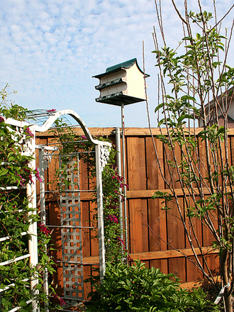 May08_BIRD APARTMENT