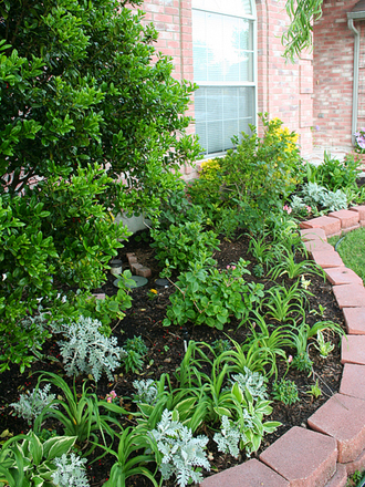May08_FRONT GARDEN