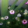 20080513_17