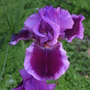 20080421_02