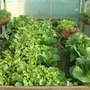 Dscf0243