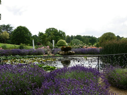 Wonderful garden
