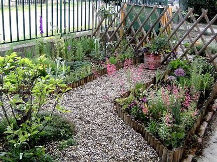 Current view of 2 of the beds in our front garden