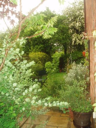 view along side garden