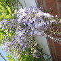Dscf0109