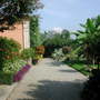 Dscn1130