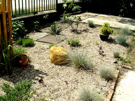 Gravel garden