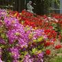 Pics_02