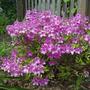 Pics_04