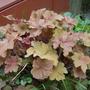 Pics_08