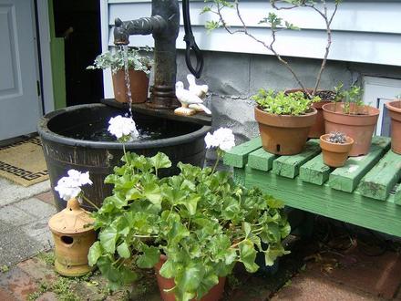 Back Door - May 2008