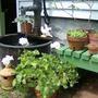 Pics_010