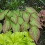 Pics_07