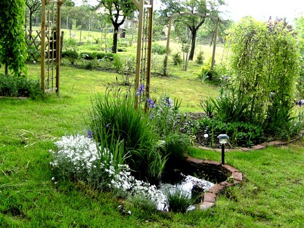 View of central area of top garden around small pond.