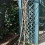 Twisted__wisteria_vine