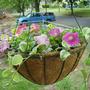 Hanging Basket