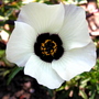 P1010045