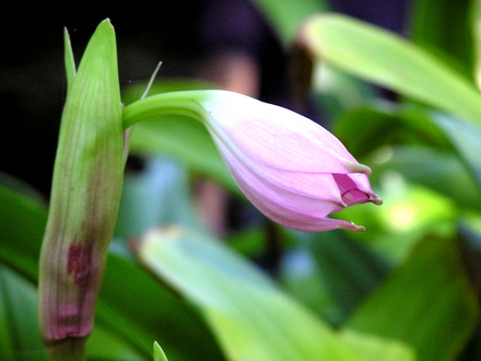 P1010075.jpg