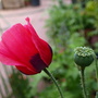 20080509_61