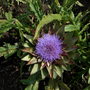 Dscn0747