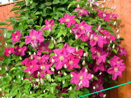 Imported_Photos_00017.jpg