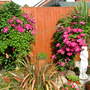 Imported_photos_00027