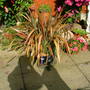 Imported_photos_00026