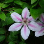 Imported_photos_00013