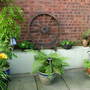 Imported_photos_00020