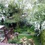 Copy_of_garden_050
