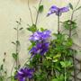 May_068