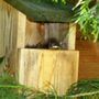 new neighbours