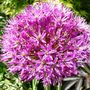 May_007