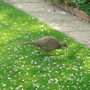 Dsc00835