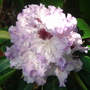 Dsc00841