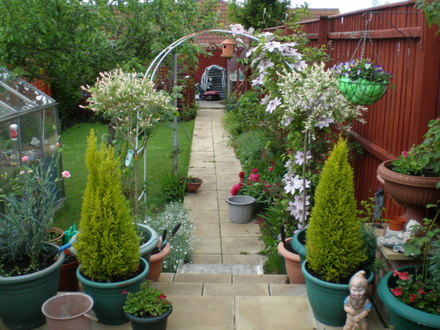 MY GARDEN