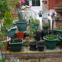 Garden_010