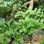 Sat_17_may_004