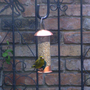 Greenfinch