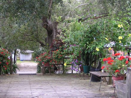 another view of the deck